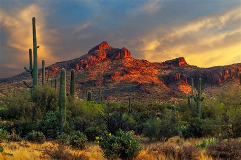 Desert Dreams: Arizona's Unique Landscapes