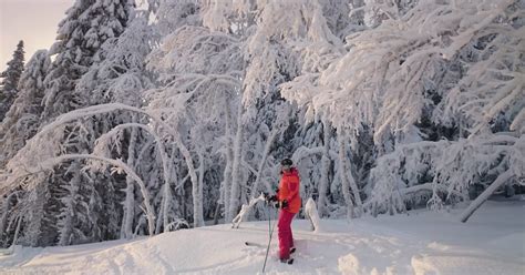 Nordic Noir: A Winter Wonderland in Sweden