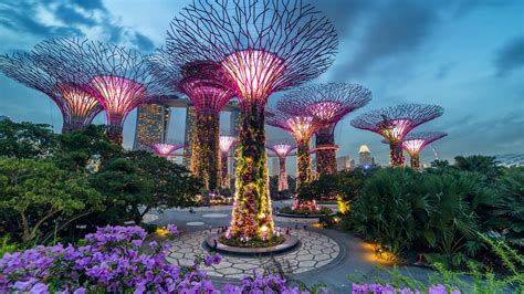 Singapore Skyline: Gardens by the Bay and Marina Bay Sands