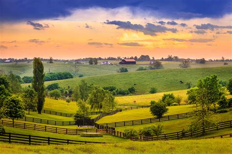 The Bluegrass State: Kentucky's Horse Country