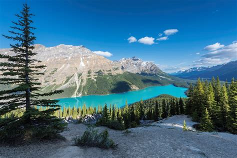 Canadian Rockies Roadtrip: Jasper, Banff, and Lake Louise