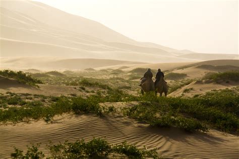 Mongolian Nomadism: Gobi Desert and Steppes Exploration