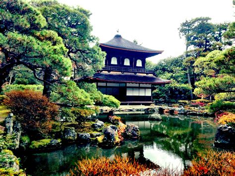 Temples and Tea: Kyoto's Tranquil Beauty in Japan