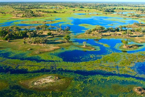 Safari Serenity: Botswana's Okavango Delta Exploration