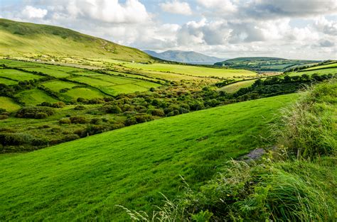 Green Vistas: Exploring the Irish Countryside