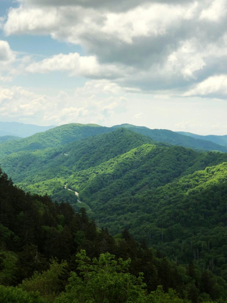 Getting to know Smoky Mountains National Park