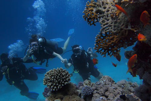 Unveiling the Wonders of the Belize Barrier Reef